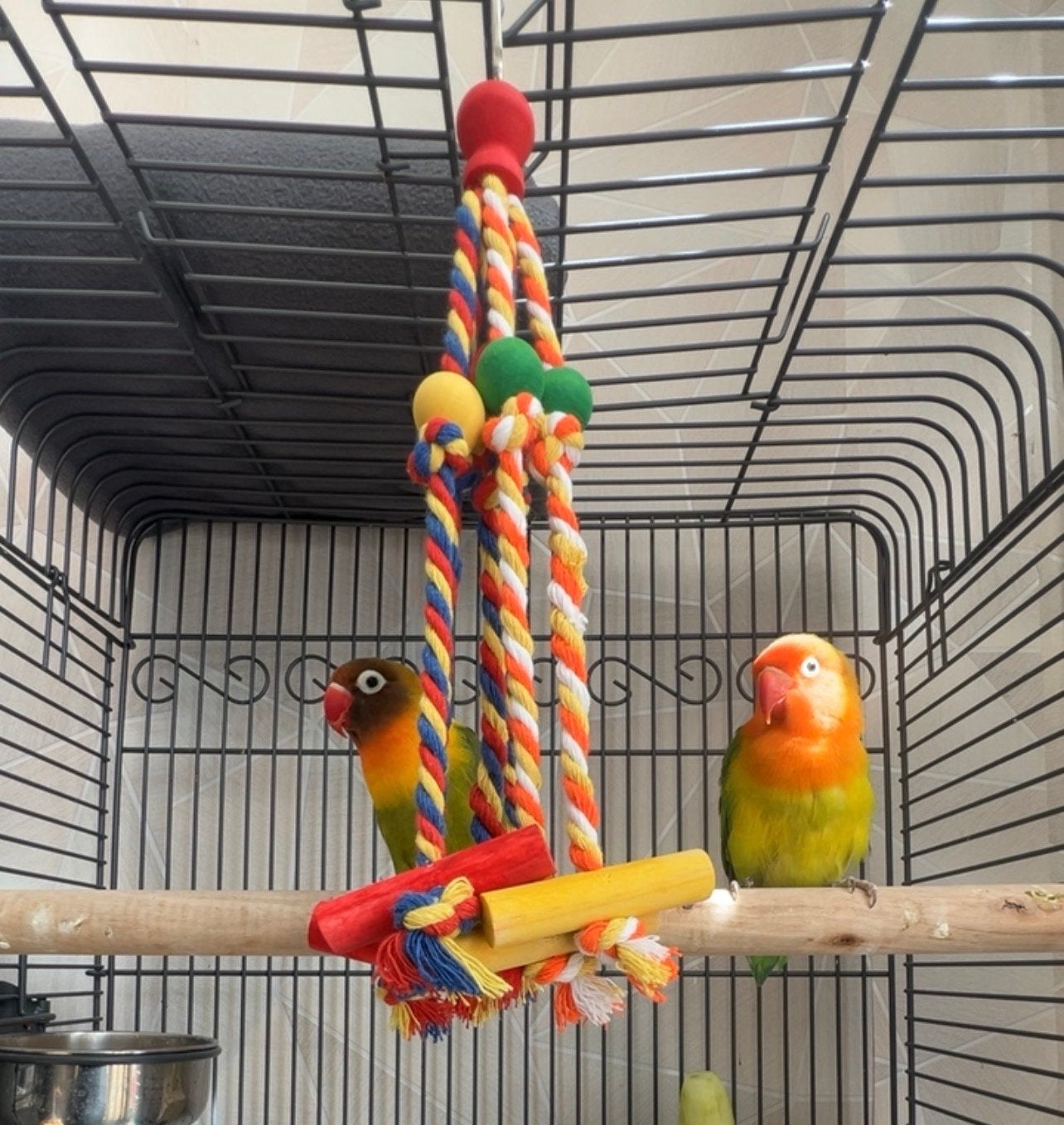 Love birds, Dieren en Toebehoren, Vogels | Parkieten en Papegaaien, Meerdere dieren, Dwergpapegaai of Agapornis