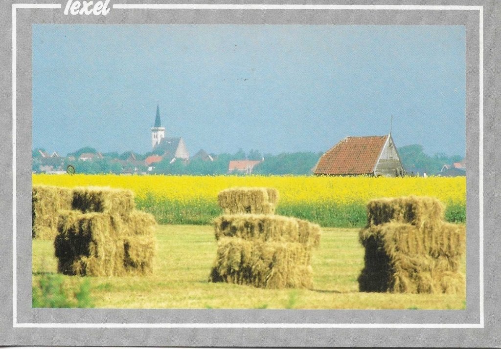 Texel- -Koolzaad en stropakken., Ophalen of Verzenden, 1980 tot heden, Gelopen, Waddeneilanden