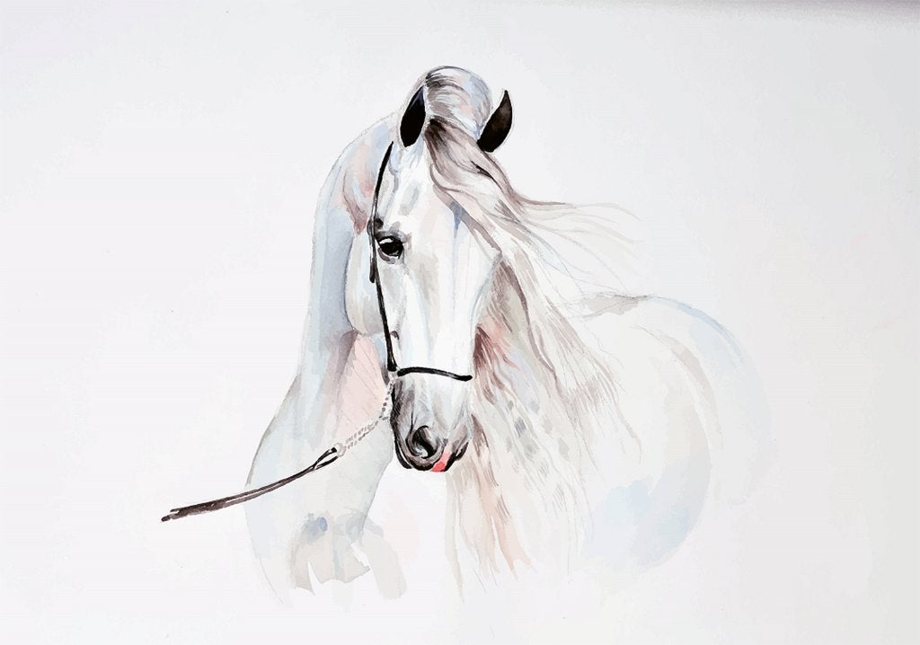 Paarden behang Aquarel Paard SALE - vliesbehang 312x219cm, Verzenden, Fotobehang