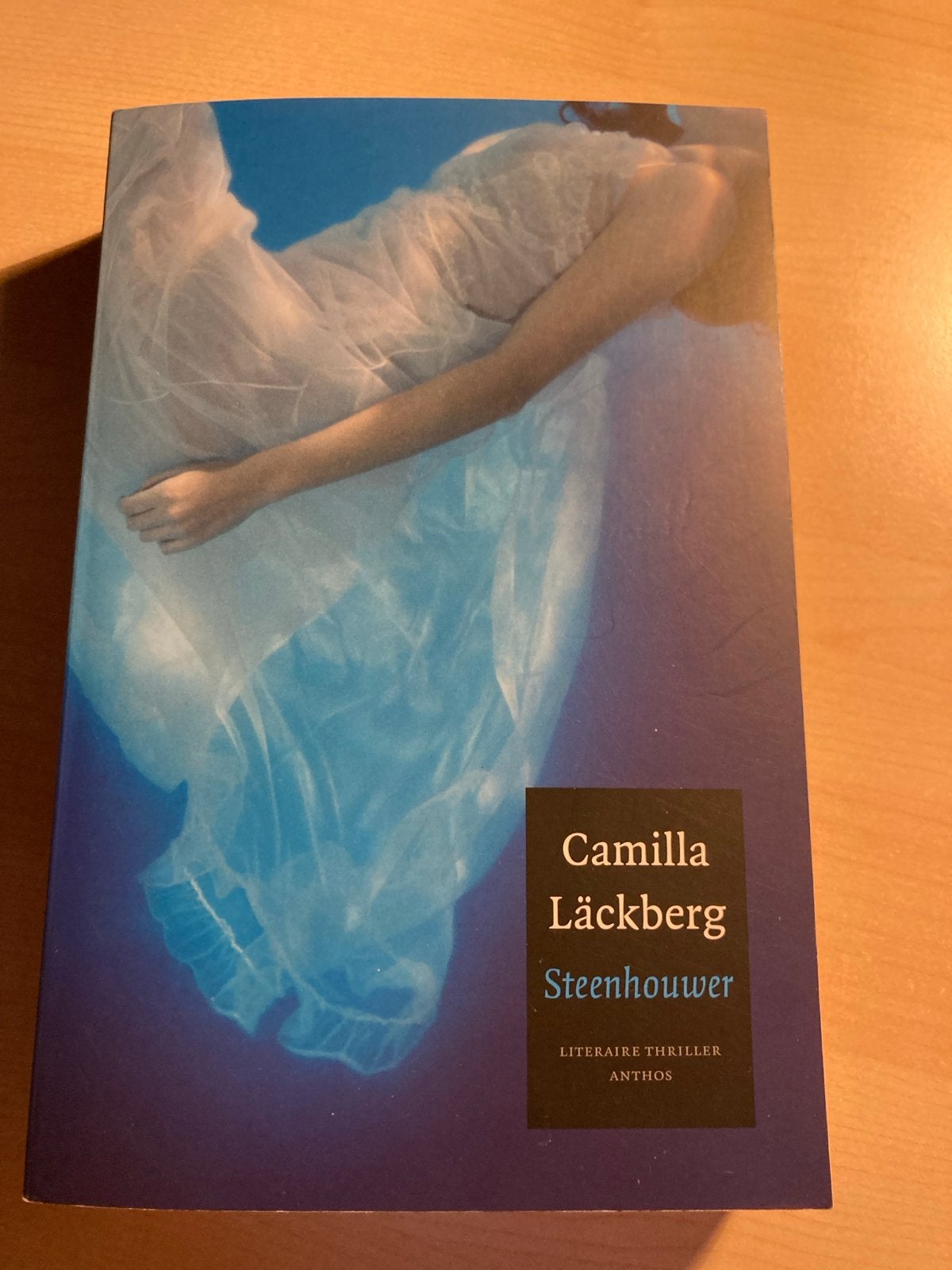 Camilla Läckberg - Steenhouwer (Literaire Thriller), Ophalen of Verzenden, Zo goed als nieuw, Europa overig