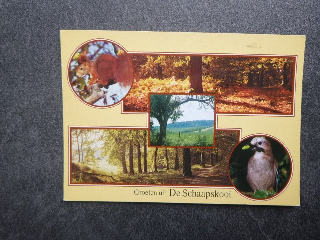 Epe, bungalow camping de Schaapskooi/interieur/bos, Verzenden, 1980 tot heden, Gelopen, Gelderland