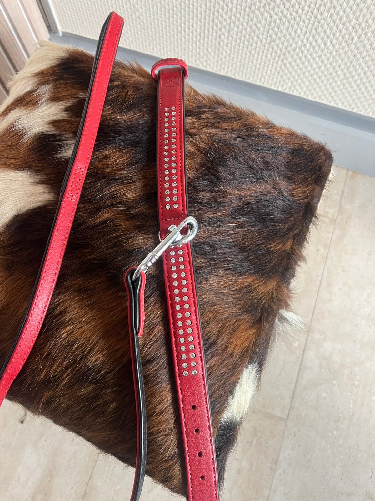 Halsband en riem, Dieren en Toebehoren, Ophalen of Verzenden, Nieuw