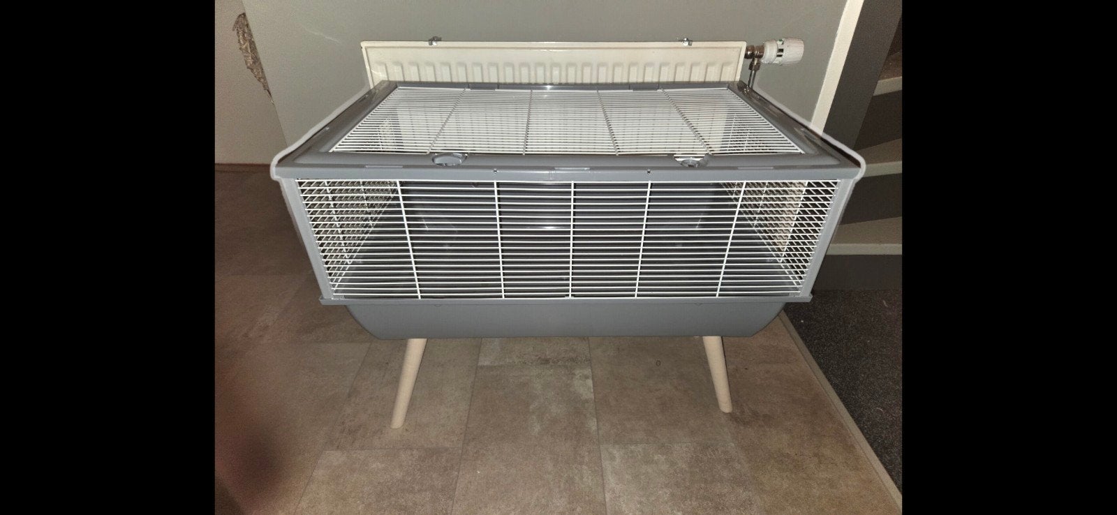 Hamster kooi, Dieren en Toebehoren, Ophalen, Kooi, Hamster, Minder dan 60 cm