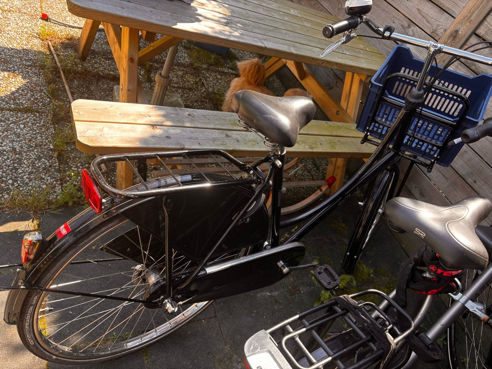 Zwarte Omafiets met Voordrager - Meisjes/Dames, Ophalen, Gebruikt, Terugtraprem