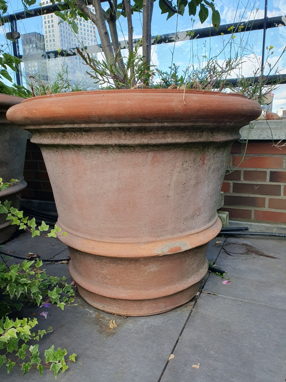 Terracotta pot  H60 doorsnede 65cm, Ophalen, 40 cm of meer, Rond, 40 tot 70 cm