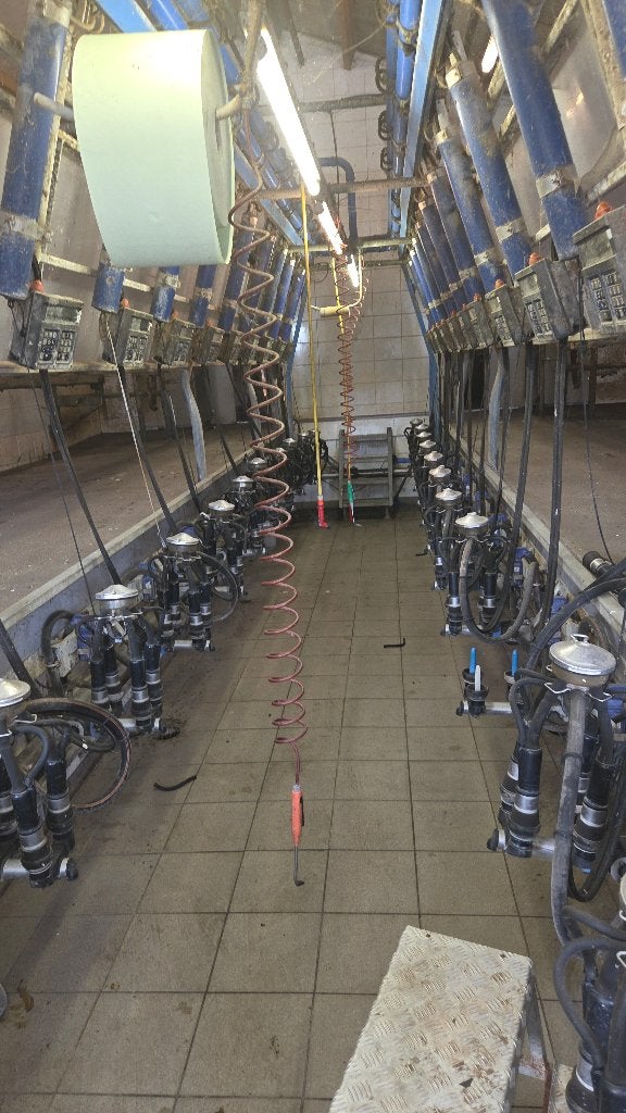 melkstal delaval 2 x 12 zij aan zij, Zakelijke goederen, Ophalen of Verzenden, Veehouderij, Stalinrichting
