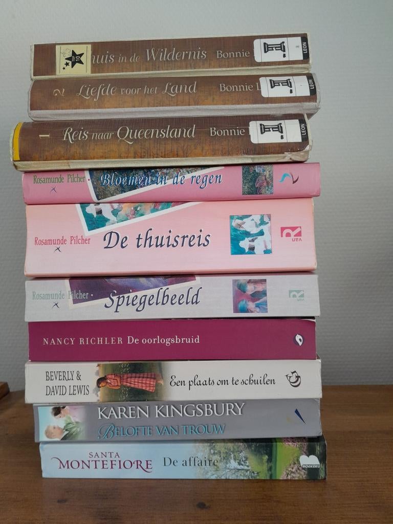 Diverse boeken, Santa Montefiore, beveiliging Lewis etc., Boeken, Ophalen of Verzenden, Gelezen