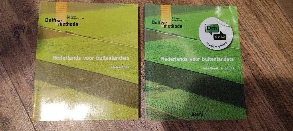 Delftse methode, Nederlands leren, tekstboeken+ oefenboeken, Boeken, Ophalen, Alpha, Zo goed als nieuw, HBO