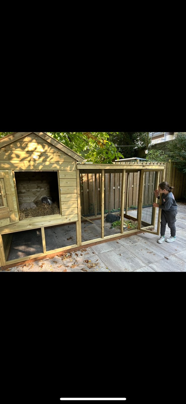 Houten kippen/konijnenhok te koop en eventueel konijnen, Ophalen of Verzenden, Zo goed als nieuw, Kippenhok of Kippenren