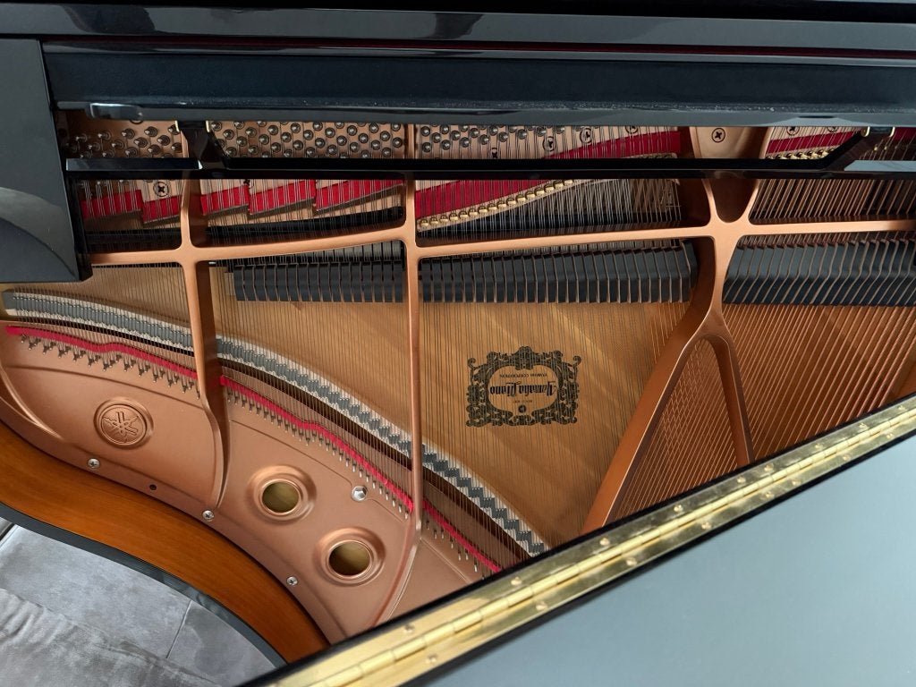 Yamaha Vleugel Disklavier, Ophalen, Zwart, Zo goed als nieuw, Vleugel