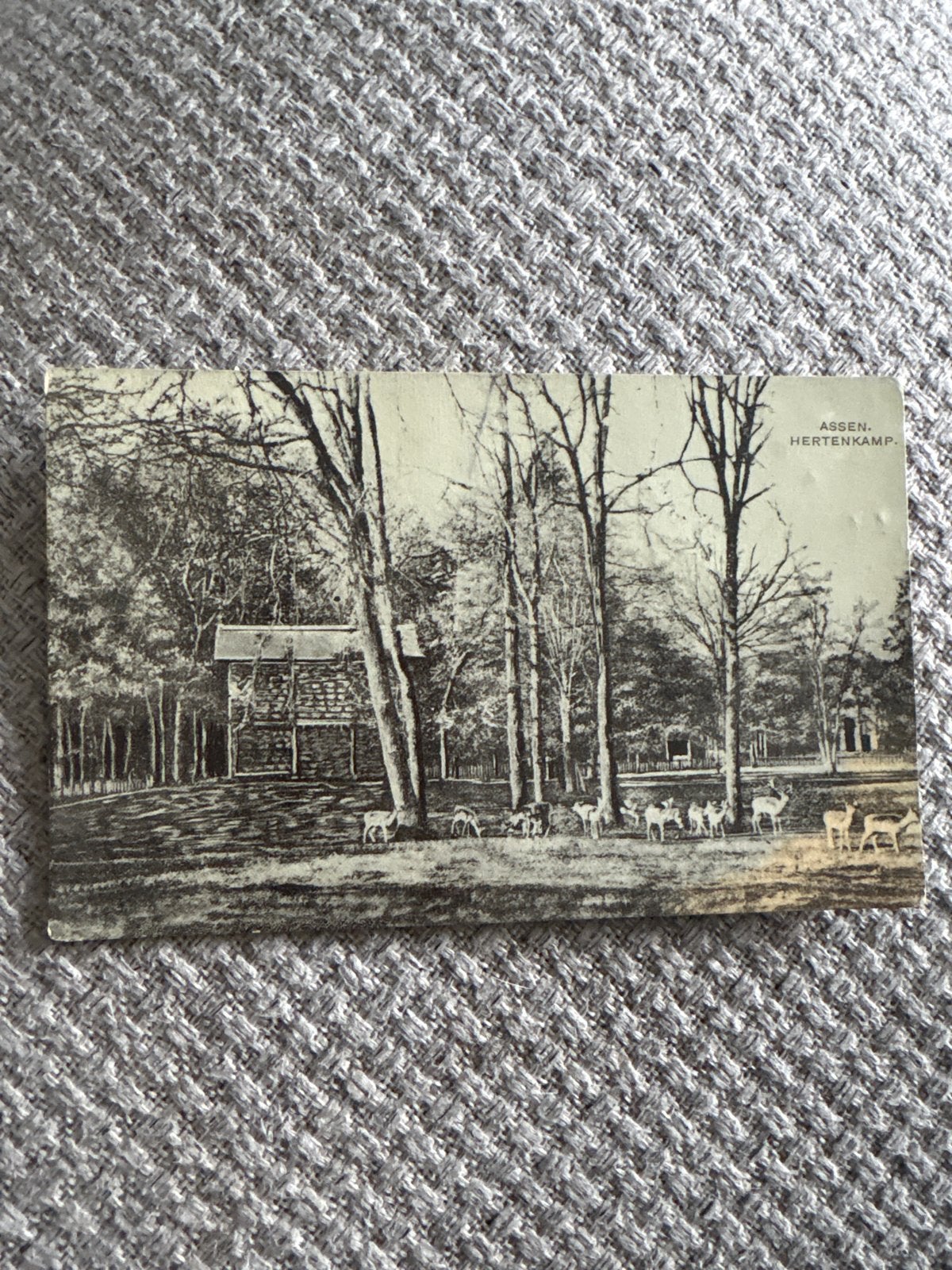 Oude ansichtkaart Assen Hertenkamp, Gelopen, Ophalen of Verzenden, Voor 1920, Gelopen, Drenthe