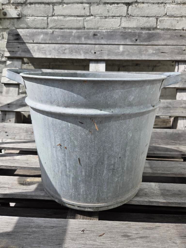 Zinken teil, Tuin en Terras, Ophalen, Gebruikt, Metaal, 30 tot 60 cm