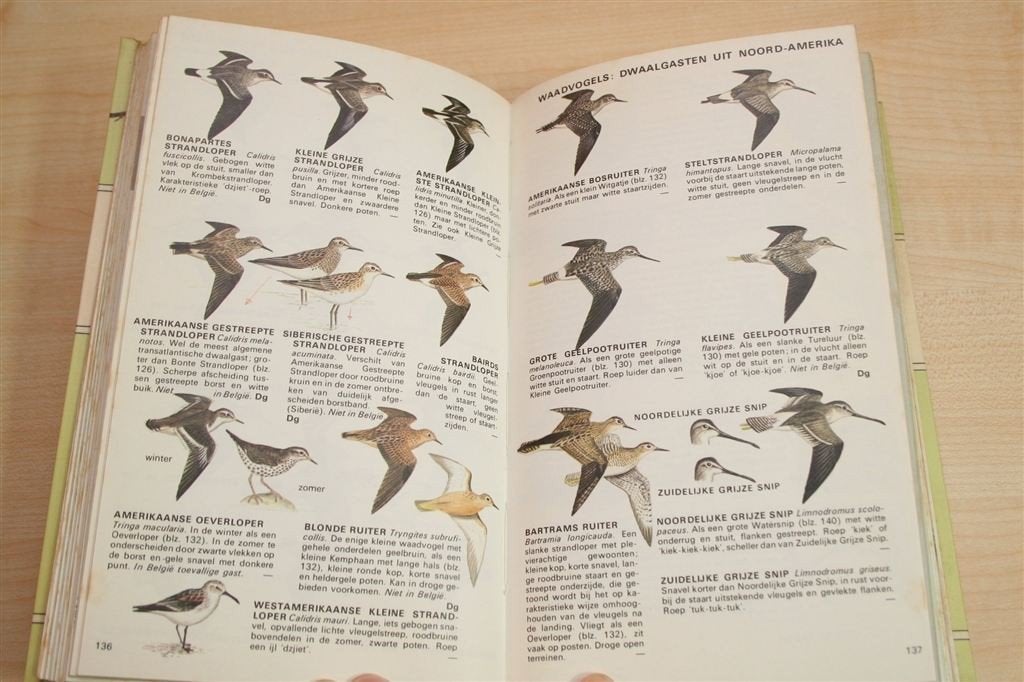 De Europese Vogels in Kleur — Ook N-Afrika & Midden-Oosten, Ophalen of Verzenden, Gelezen, Vogels
