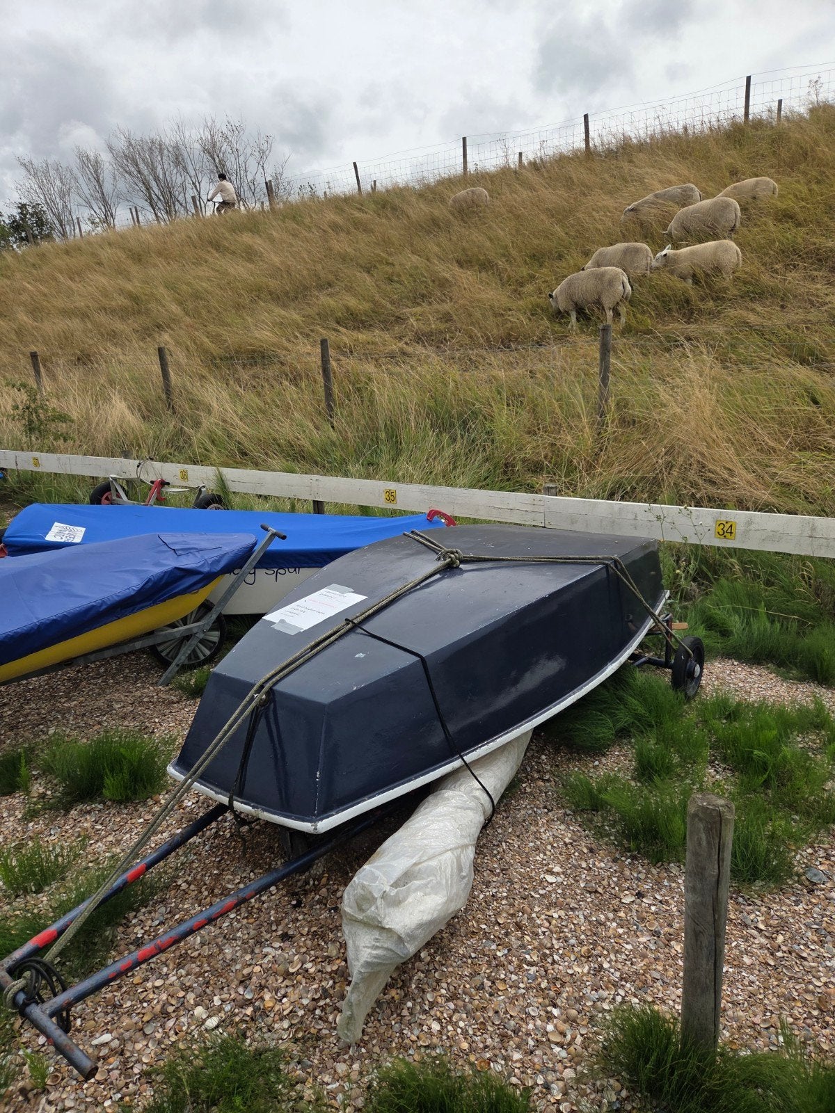 Optimist en walbootwagen, Ophalen, Gebruikt, SUP-boards