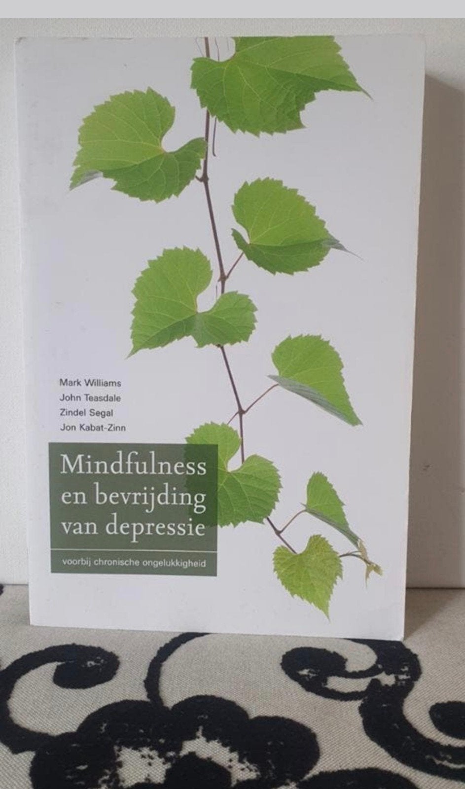 Mindfulness en bevrijding van depressie - Boek, Verzenden, Gelezen, Mark Williams, John Teasdale, Zindel Segal, Jon Kabat-Zinn