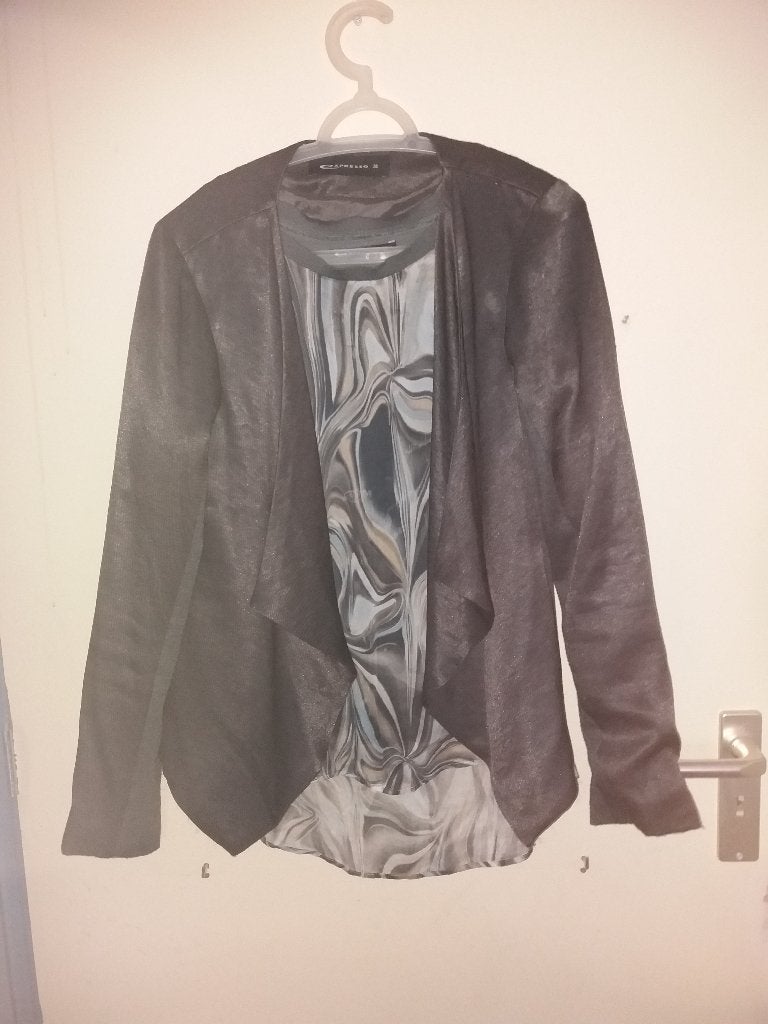 Een glimmend grijs jasje met gekleurde top eronder., Maat 38/40 (M), Expresso., Ophalen of Verzenden, Zo goed als nieuw