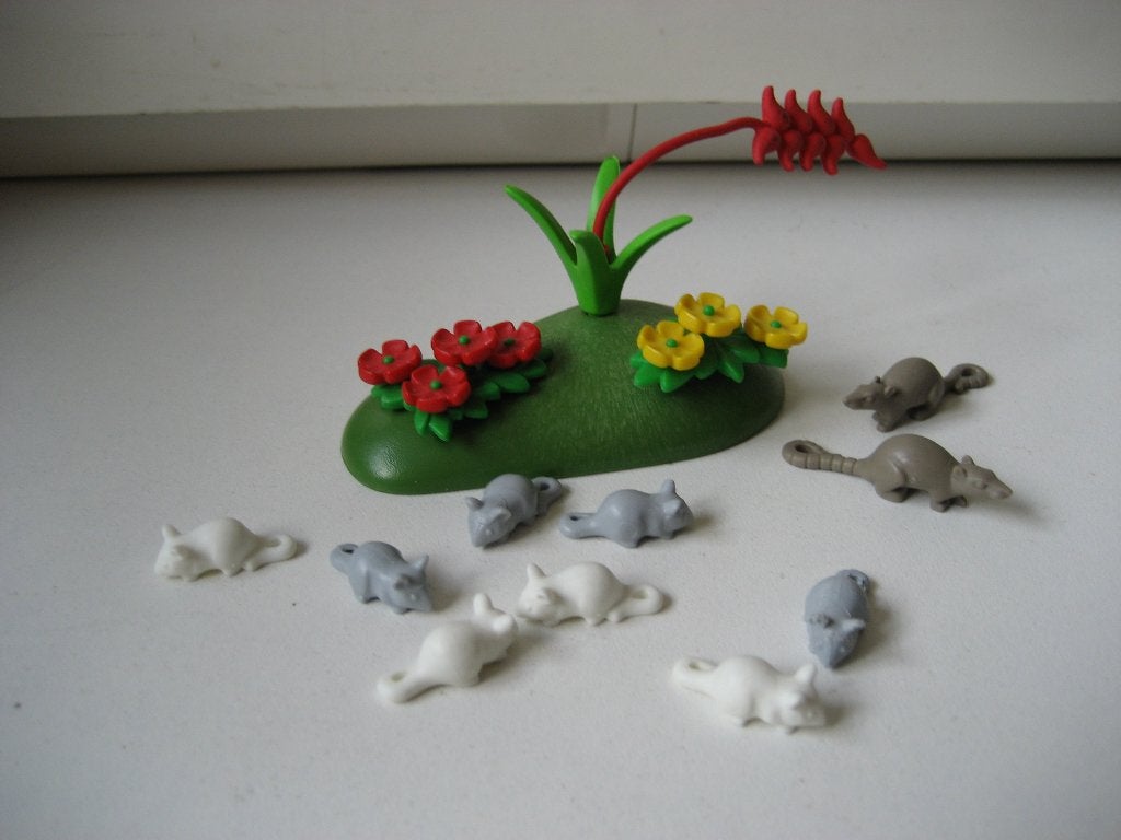 playmobil muizen en ratten bij  bloemenperk, Ophalen of Verzenden, Zo goed als nieuw