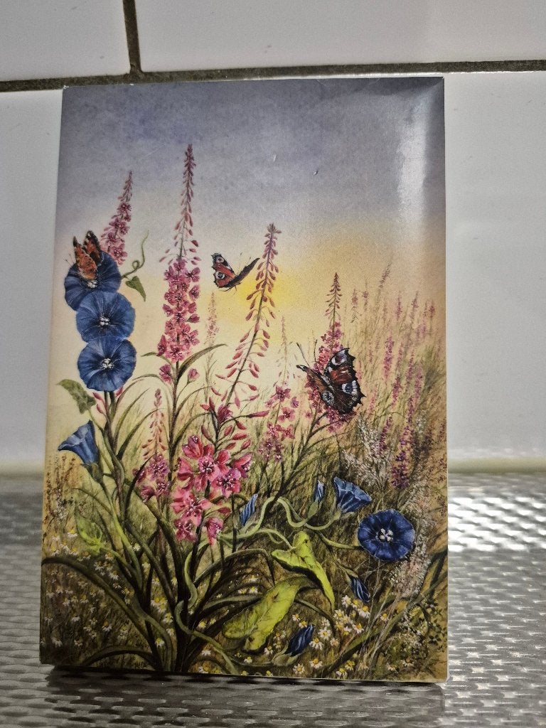 Kaarten en enveloppen (Gereserveerd), Ophalen of Verzenden, Nieuw
