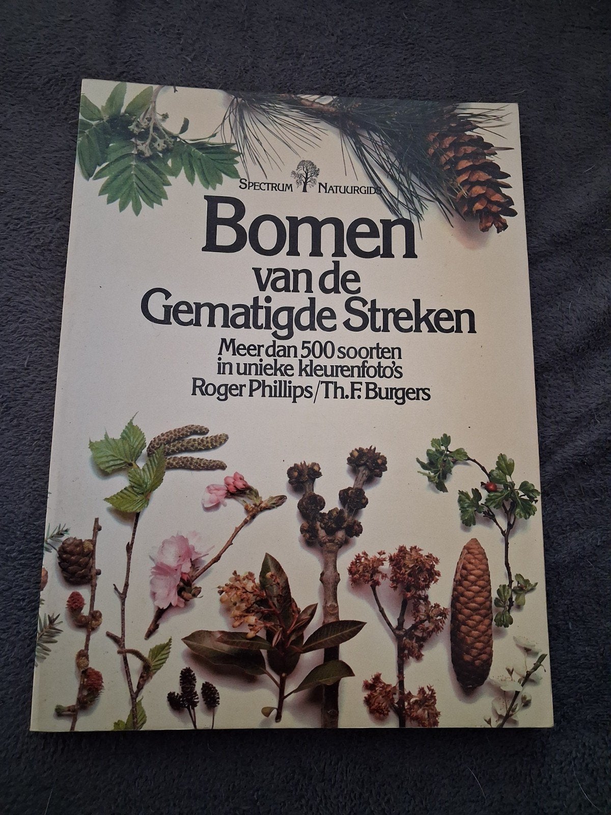 Spectrum Natuurgids: Bomen van de Gematigde Streken, Boeken, Ophalen of Verzenden, Gelezen, Bloemen, Planten en Bomen, Roger Phillips/Th.F. Burgers