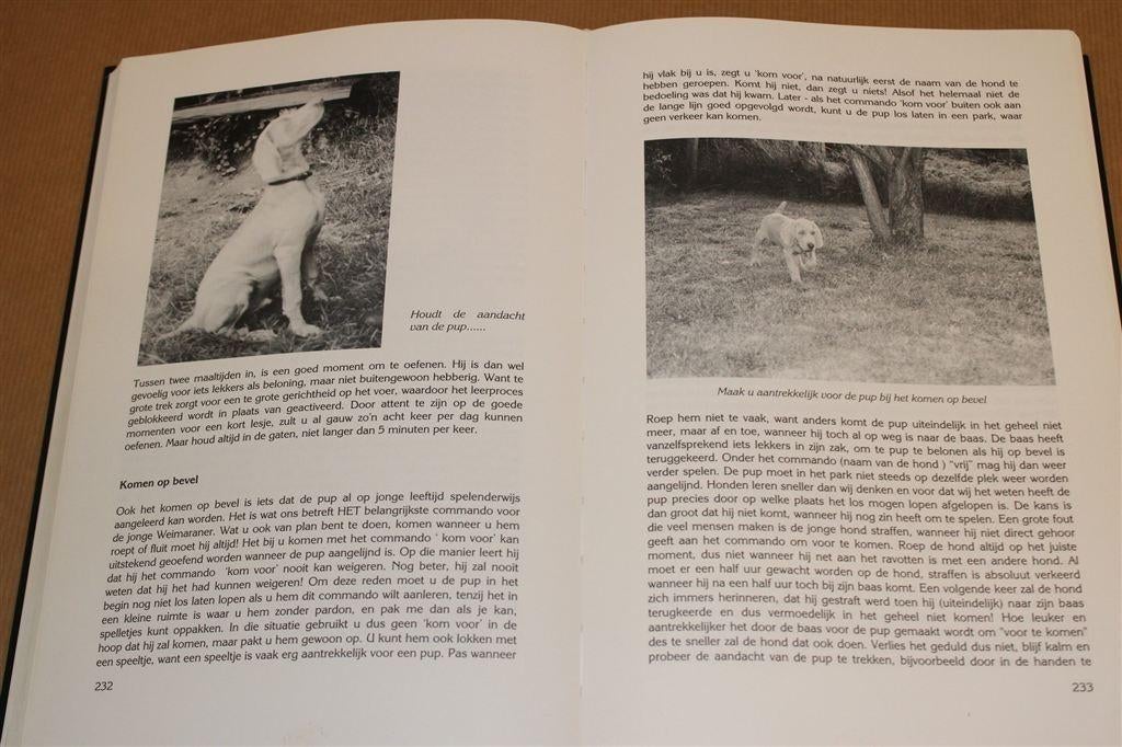 De Weimaraner — Hét Standaardwerk [622 p., Nieuwstaat], Ophalen of Verzenden, Zo goed als nieuw, Honden