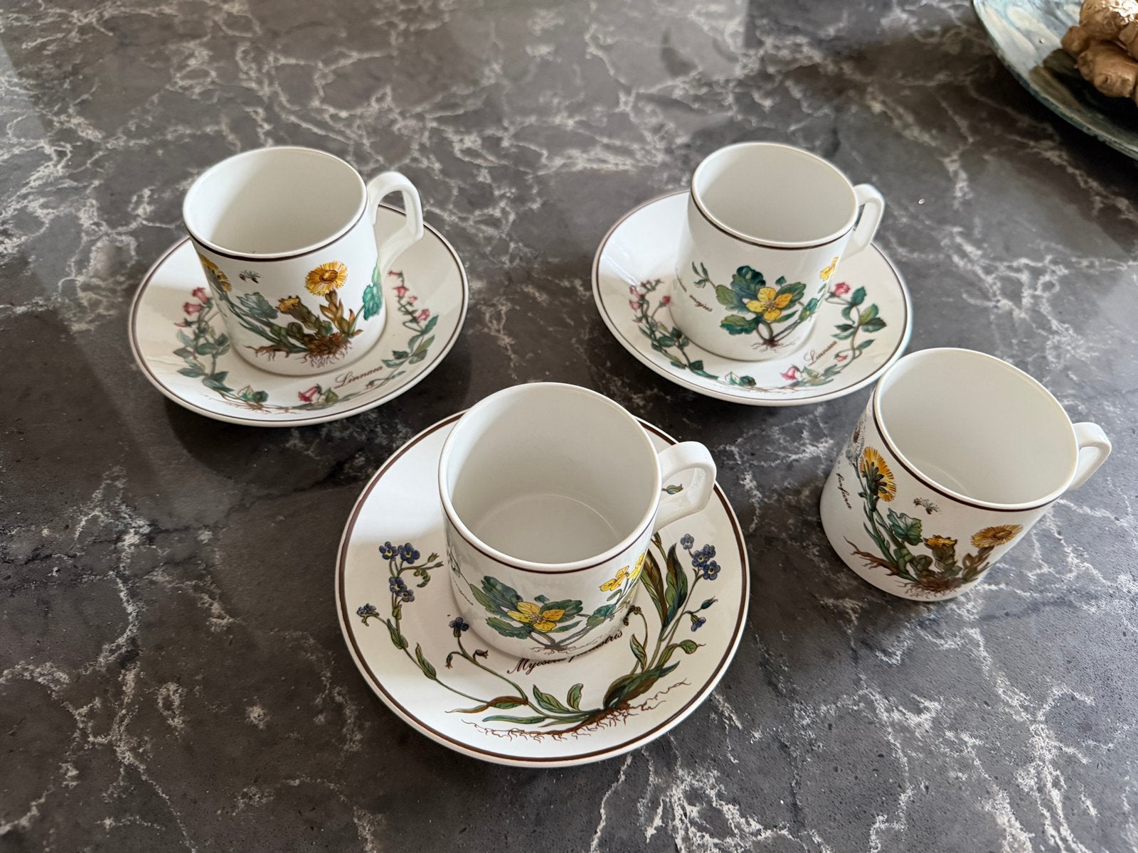 Kop en schotels Villeroy & Boch botanica, Ophalen, Villeroy & Boch, Vintage, Zo goed als nieuw