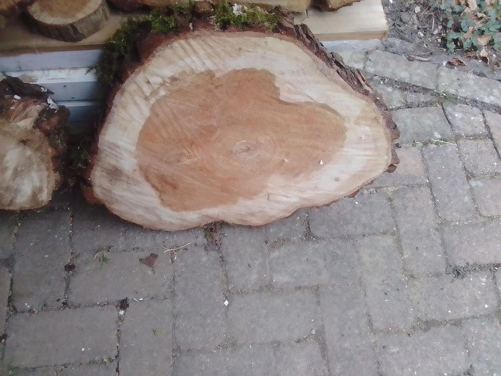 Boomschijven, Ophalen of Verzenden, Rond, Kunststof