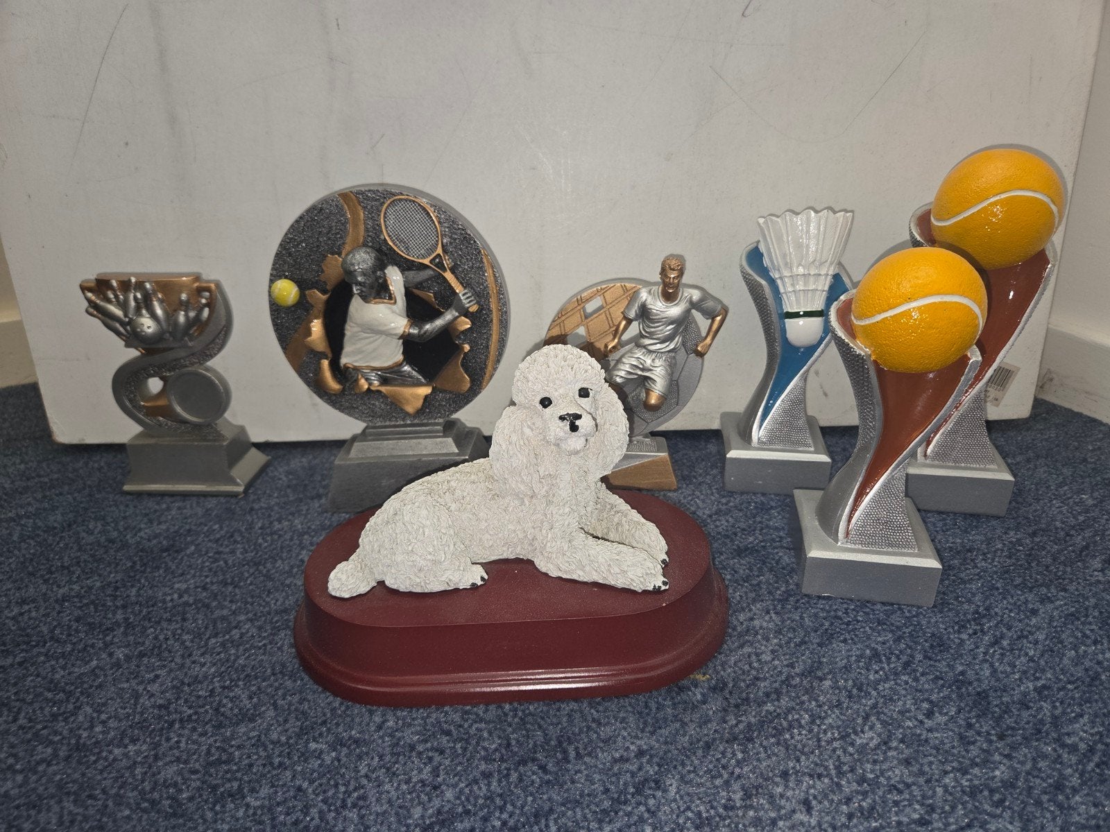Diverse sportprijzen - Nieuw, Ophalen of Verzenden, Nieuw
