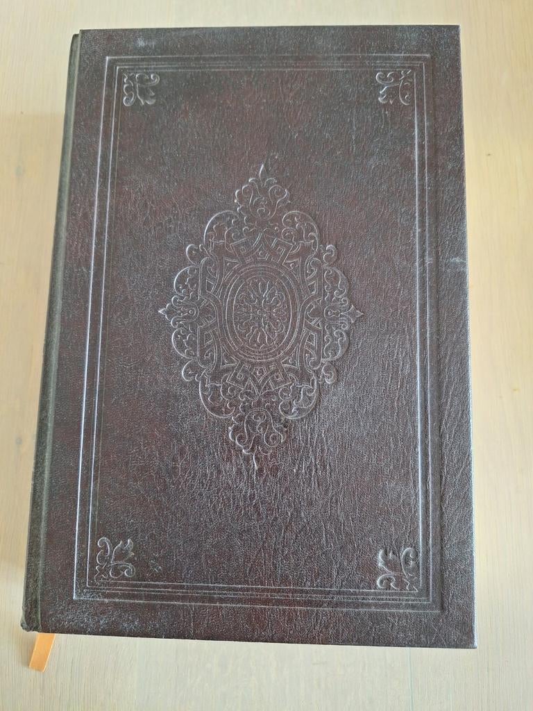 Decoratieve Bijbel met gouden randen!, Antiek en Kunst, Antiek | Boeken en Bijbels, Ophalen of Verzenden, Onbekend