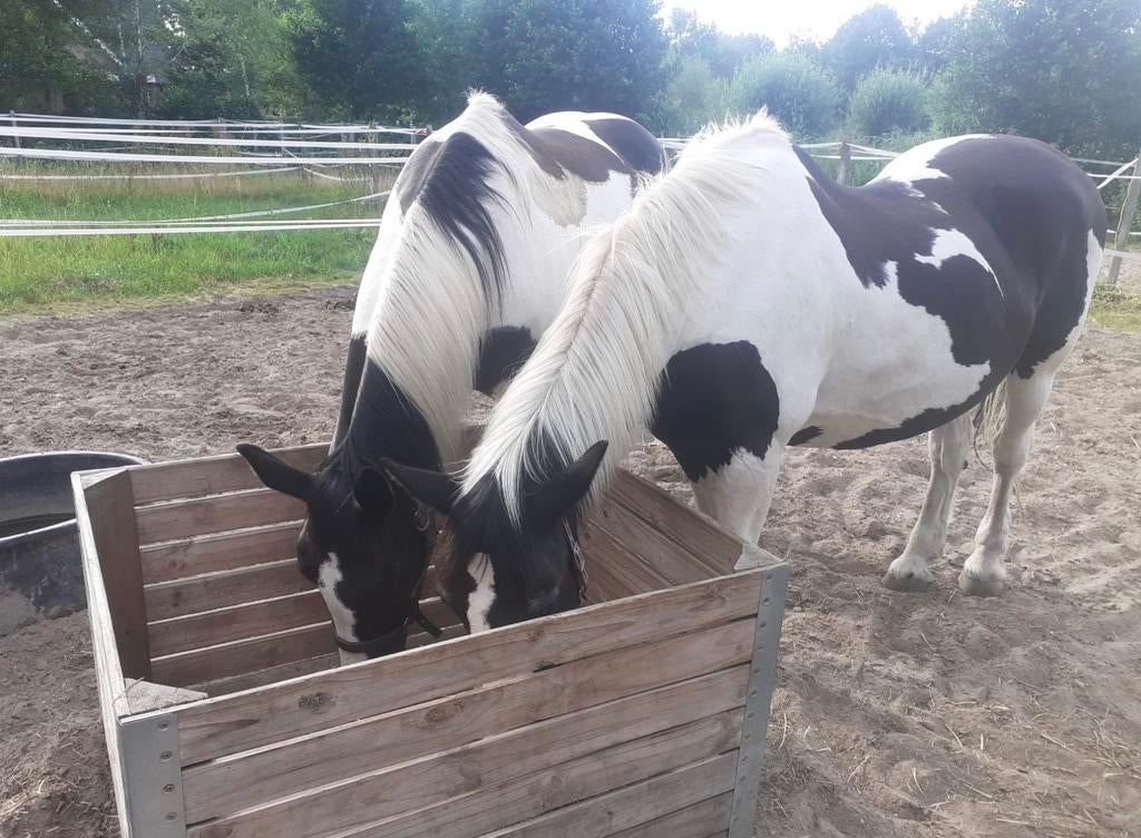 Slowfeeder hooibak hooikist paarden pony’s shetlanders, Weidegang