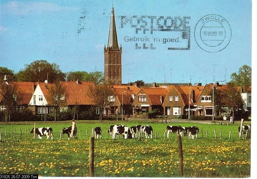 Ansichtkaart 	Steenwijk	Kerk	met koeien, Verzenden, 1960 tot 1980, Gelopen, Overijssel