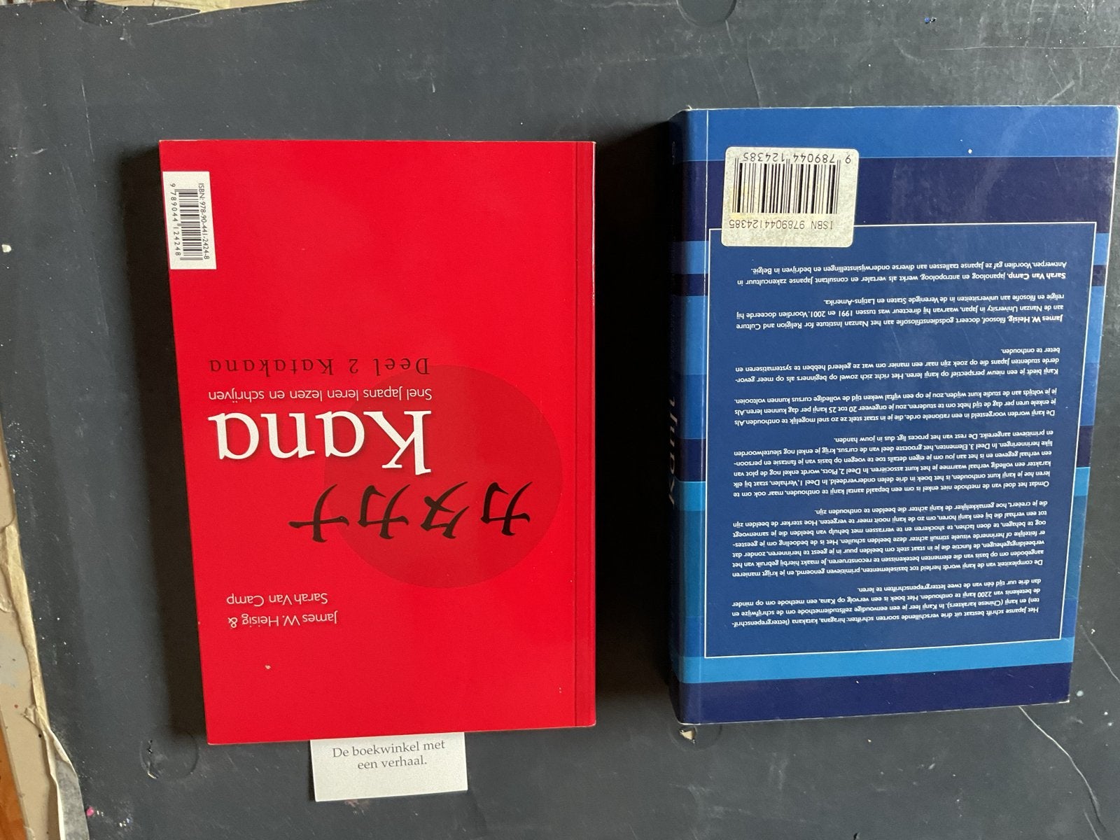 Boeken leren Japans schrift: Kana en Kanji, Boeken, Ophalen of Verzenden, Zo goed als nieuw, Non-fictie