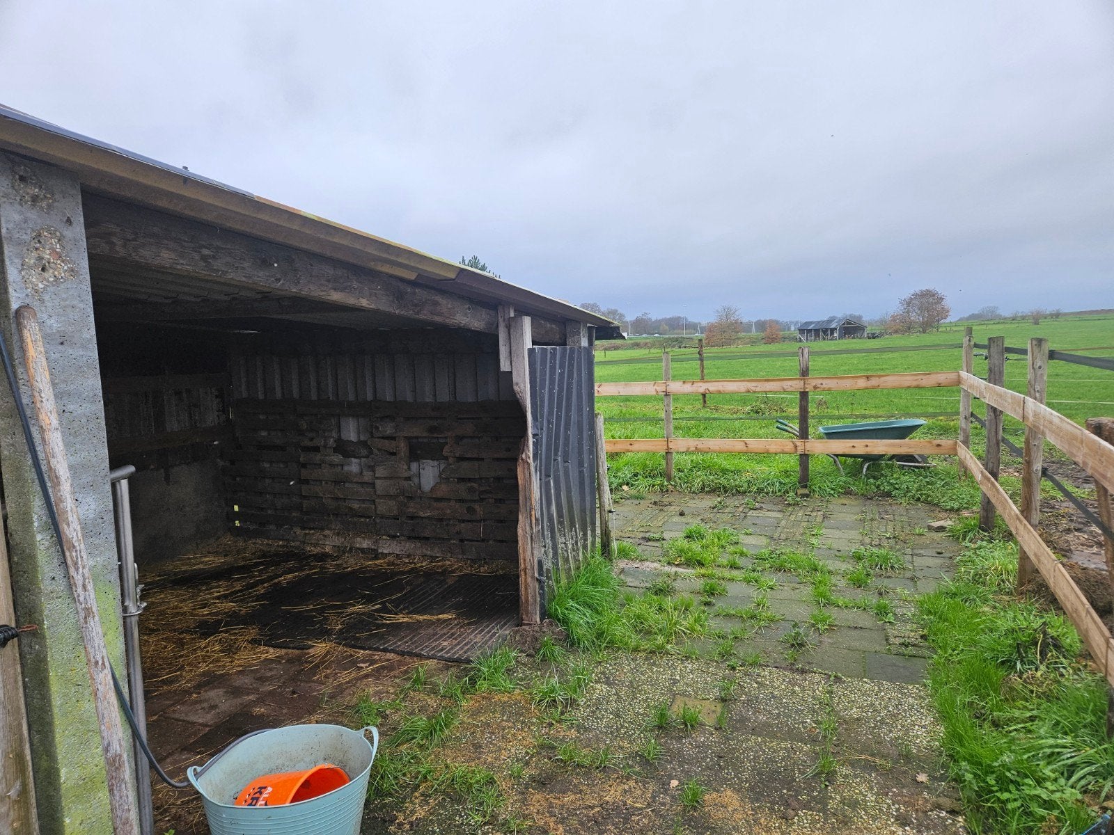 Schuilstal met uitloop te huur kleine pony's, Renswoude