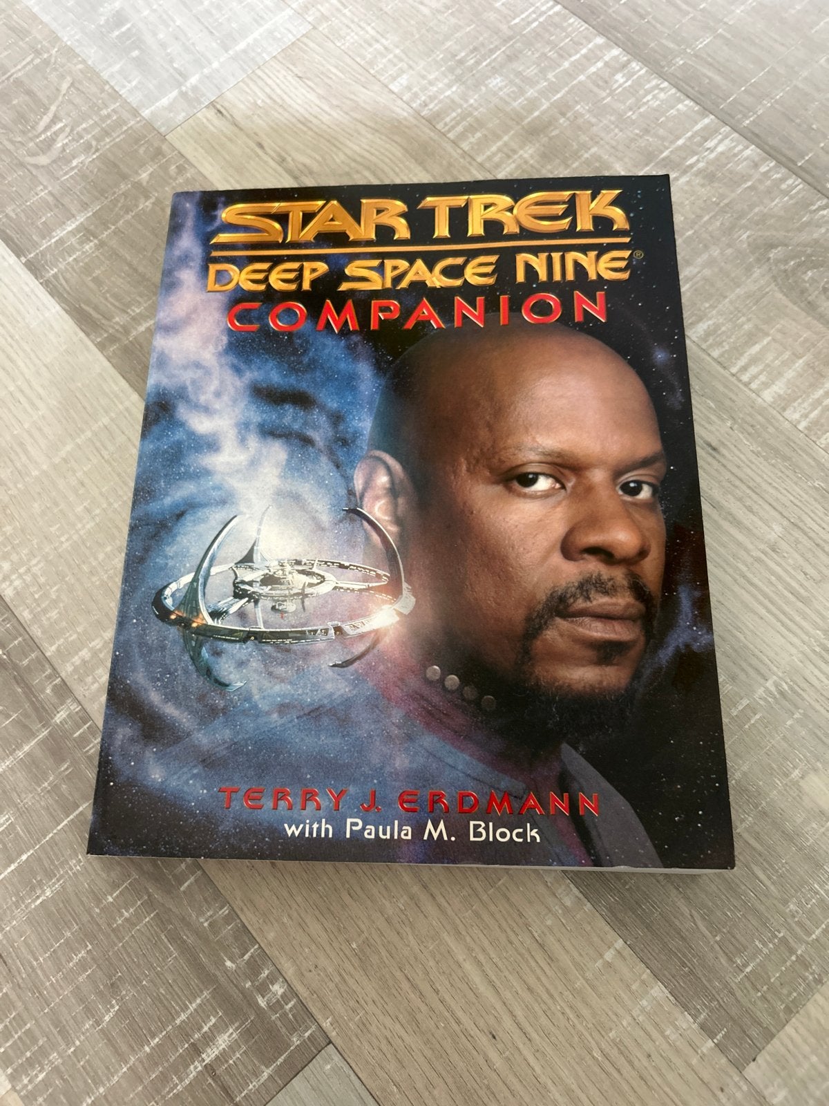 Star Trek Deep Space Nine Companion Boek, Ophalen, Gelezen