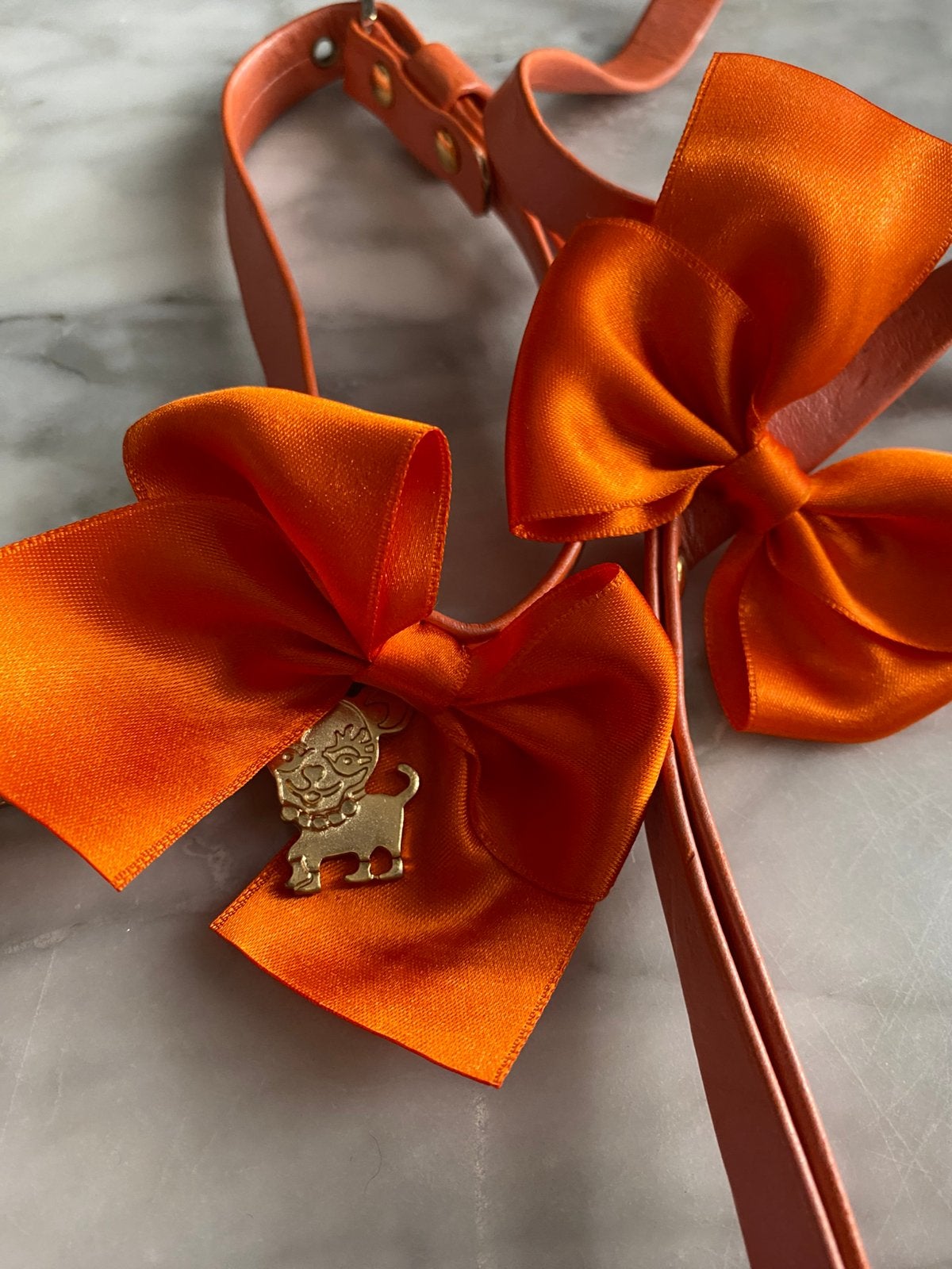 Luxerydogs set halsband en riem, Ophalen of Verzenden, Nieuw