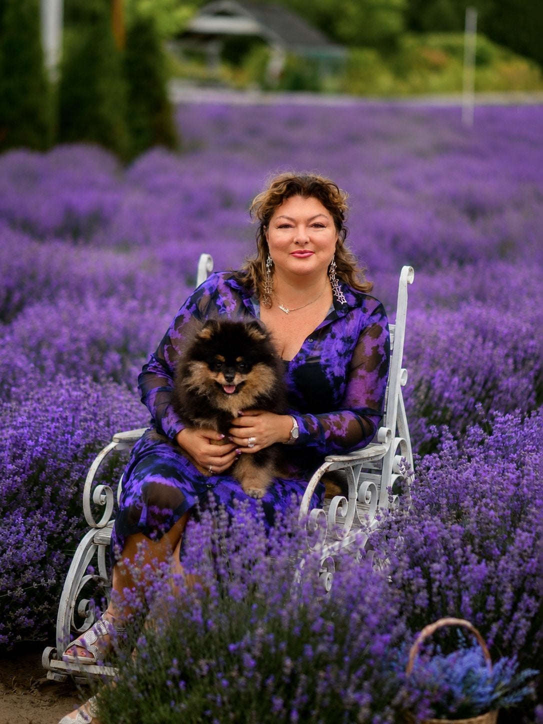 Pomeriaan Pup, Dieren en Toebehoren, Keeshond, 15 weken tot 1 jaar, Reu, Parvo