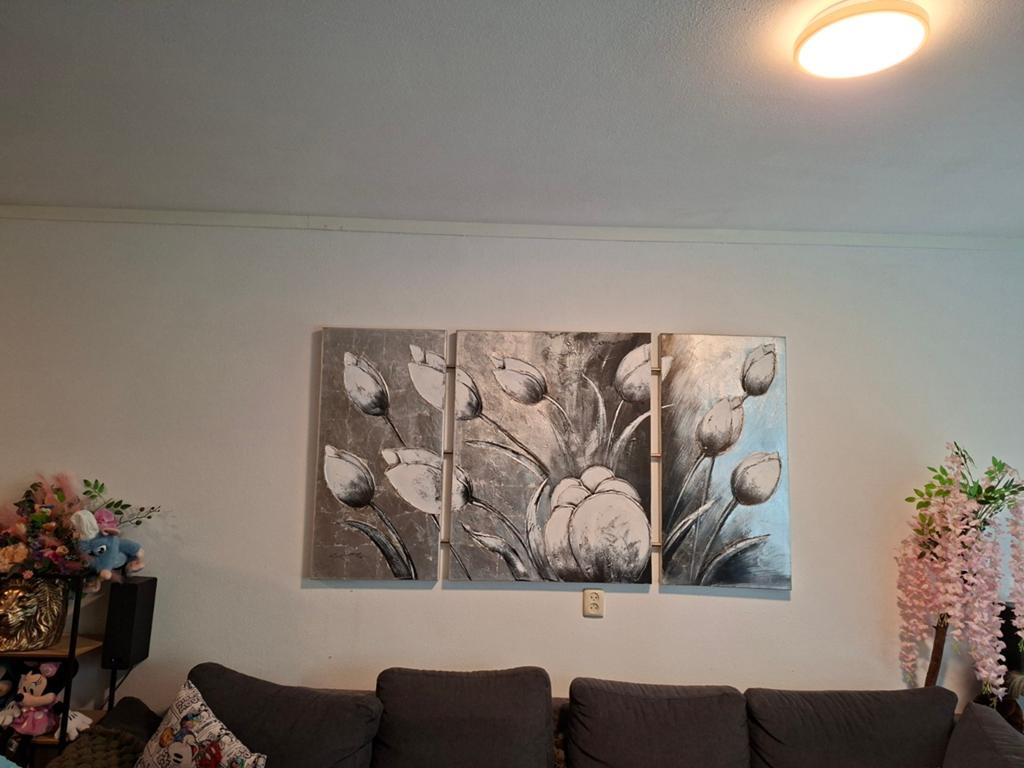 Mooie schilderij, Ophalen