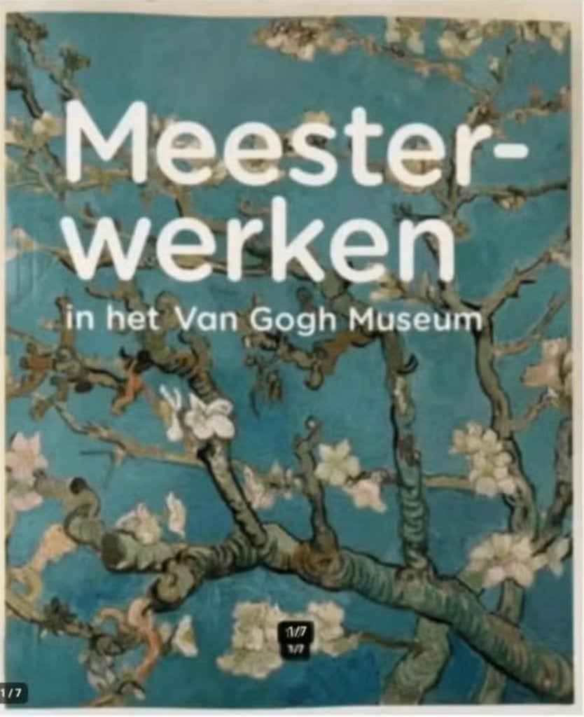 Meesterwerken in het Van Gogh Museum, Ophalen of Verzenden, Zo goed als nieuw, Schilder- en Tekenkunst