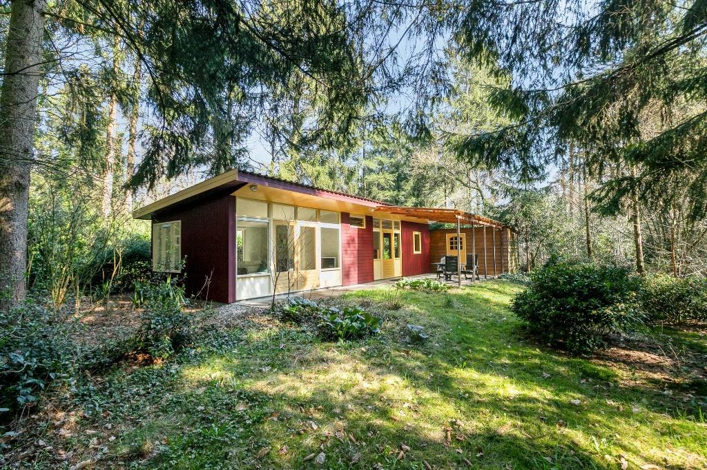 Hele leuke woning te huur voor 2 maanden in de zomer, Gelderland, 48 m², Direct bij eigenaar, 2 kamers
