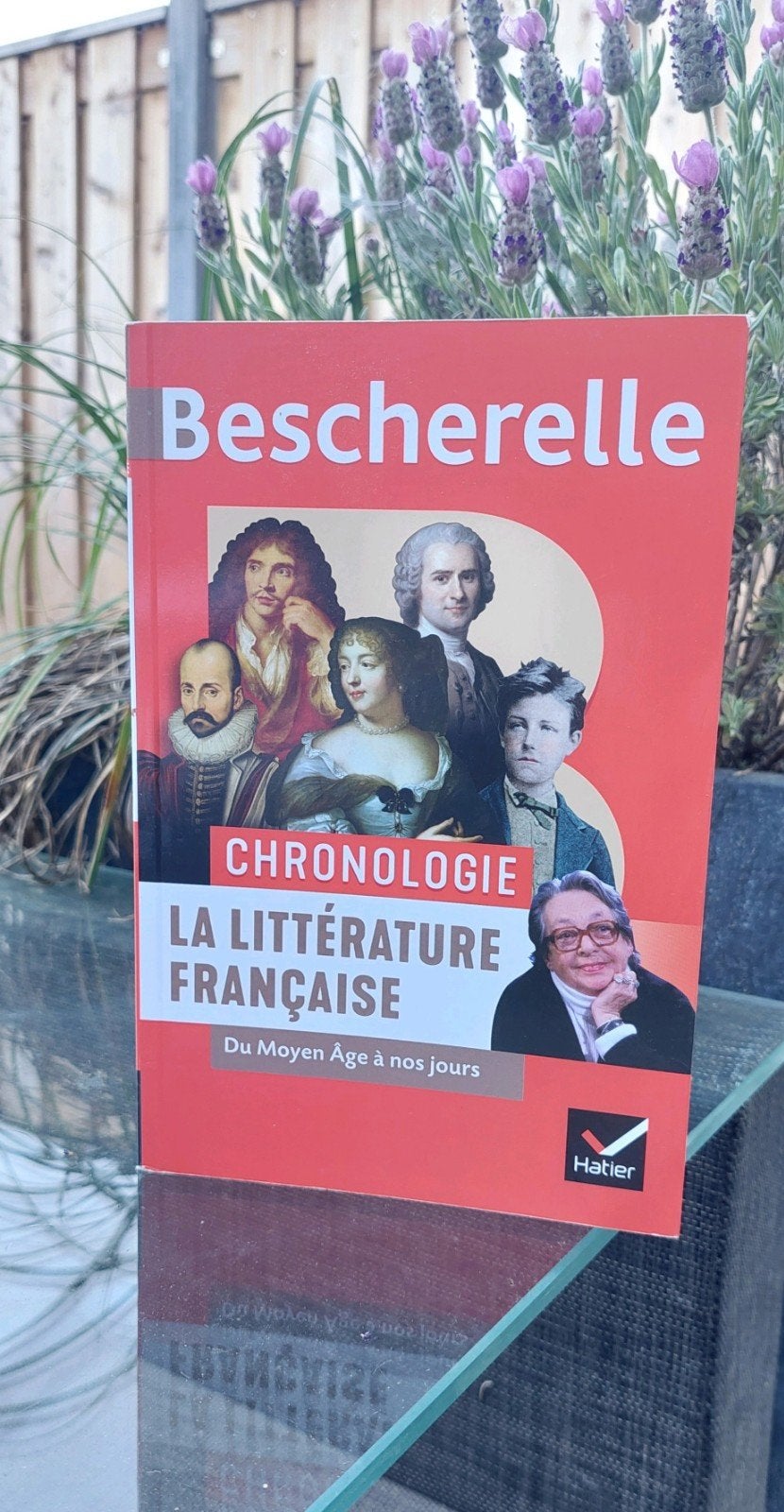 Bescherelle: Chronologie La Littérature Française, Boeken, Ophalen of Verzenden, Zo goed als nieuw, Bescherelle, Europa overig