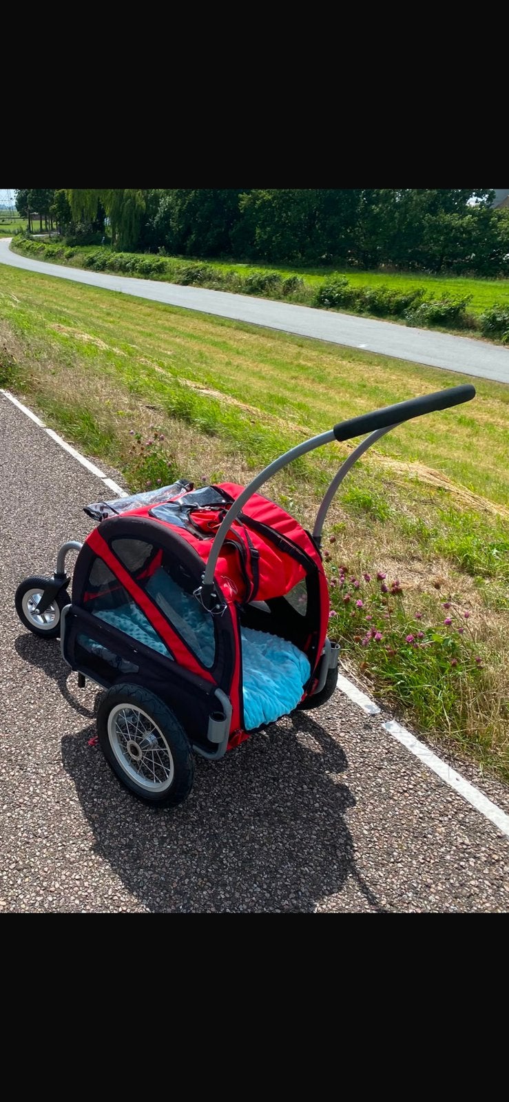 DutchDog DoggyRide Mini hondenbuggy, Ophalen, Zo goed als nieuw