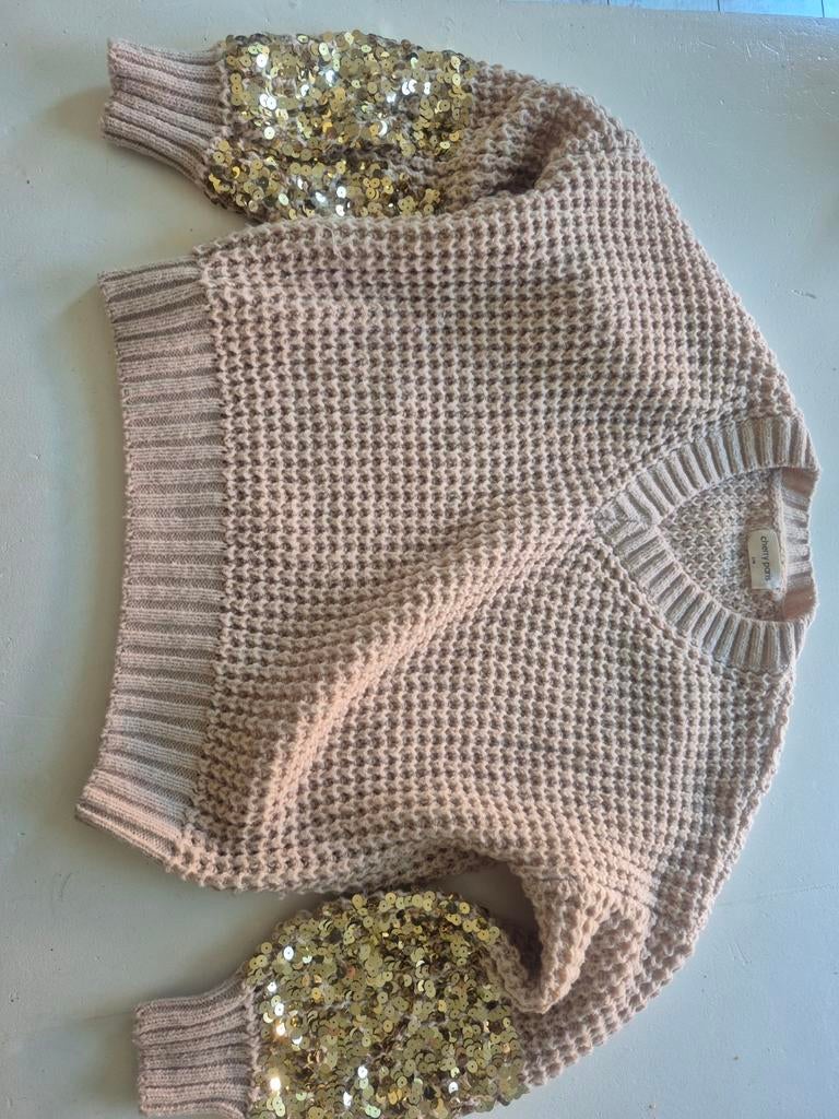 Mooie  cherry paris gebreide trui met pailletten mouwen, Beige, Ophalen, Maat 38/40 (M), Onbekend