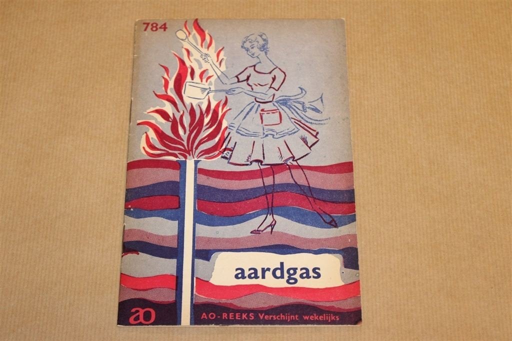 Aardgas — Vintage Informatieboekje 1959, Boeken, Ophalen of Verzenden, Gelezen, Europa