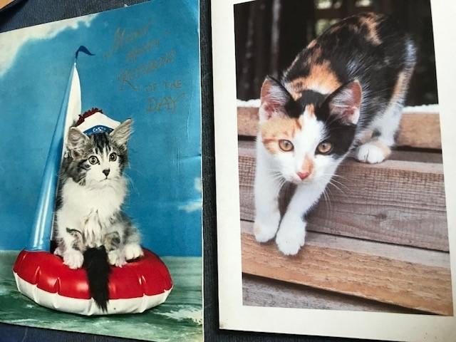 Katten, Ophalen of Verzenden, Voor 1920, Ongelopen, Hond of Kat