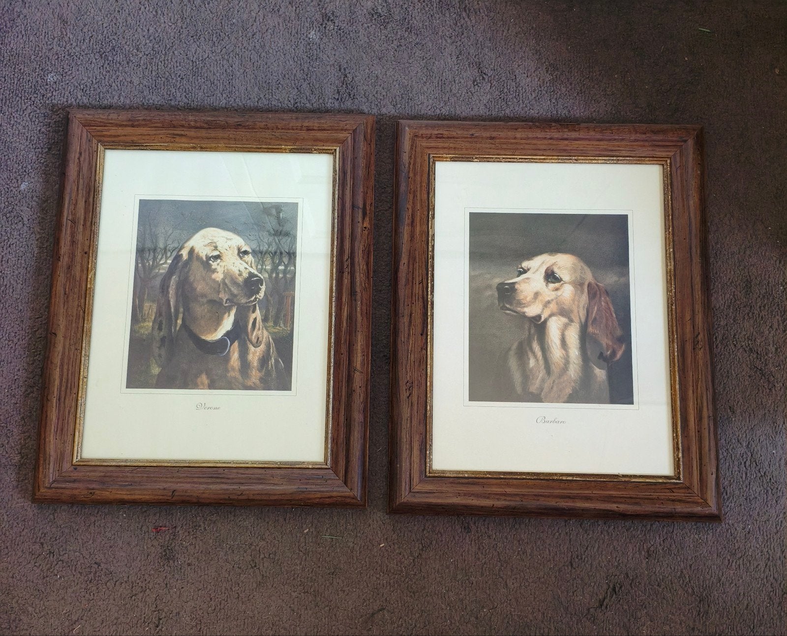 2 honden posters in lijst, Overige typen, 50 cm, Ophalen of Verzenden, Zo goed als nieuw