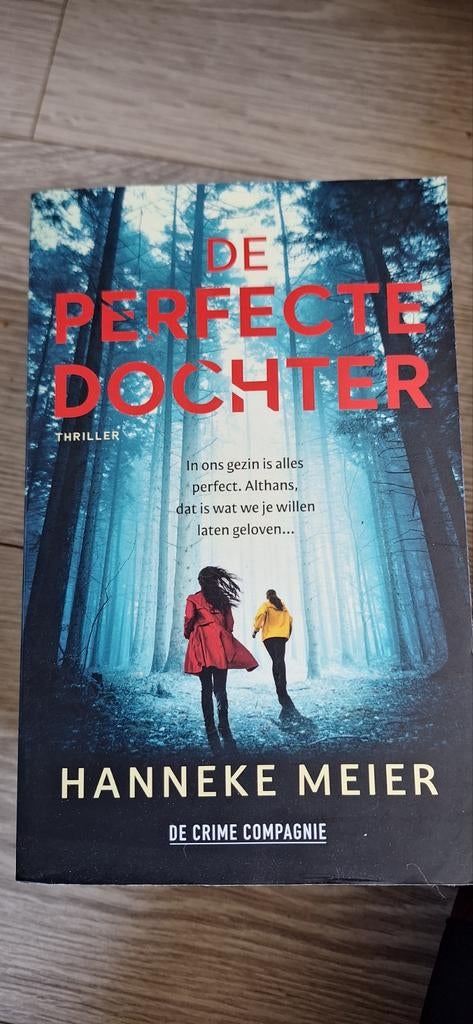 De perfecte dochter - Hanneke Meier (Thriller), Ophalen of Verzenden, Gelezen, Hanneke Meier, Nederland