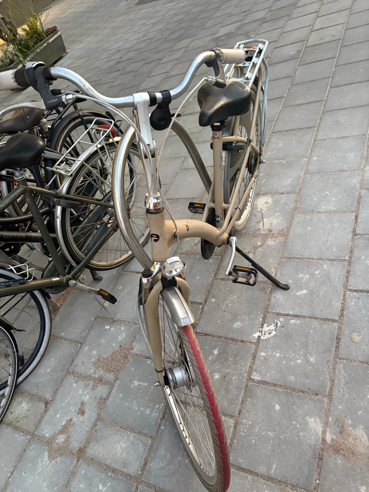 Batavus Damesfiets - Zo goed als nieuw, 53 tot 56 cm, Velgrem, Versnellingen, Batavus