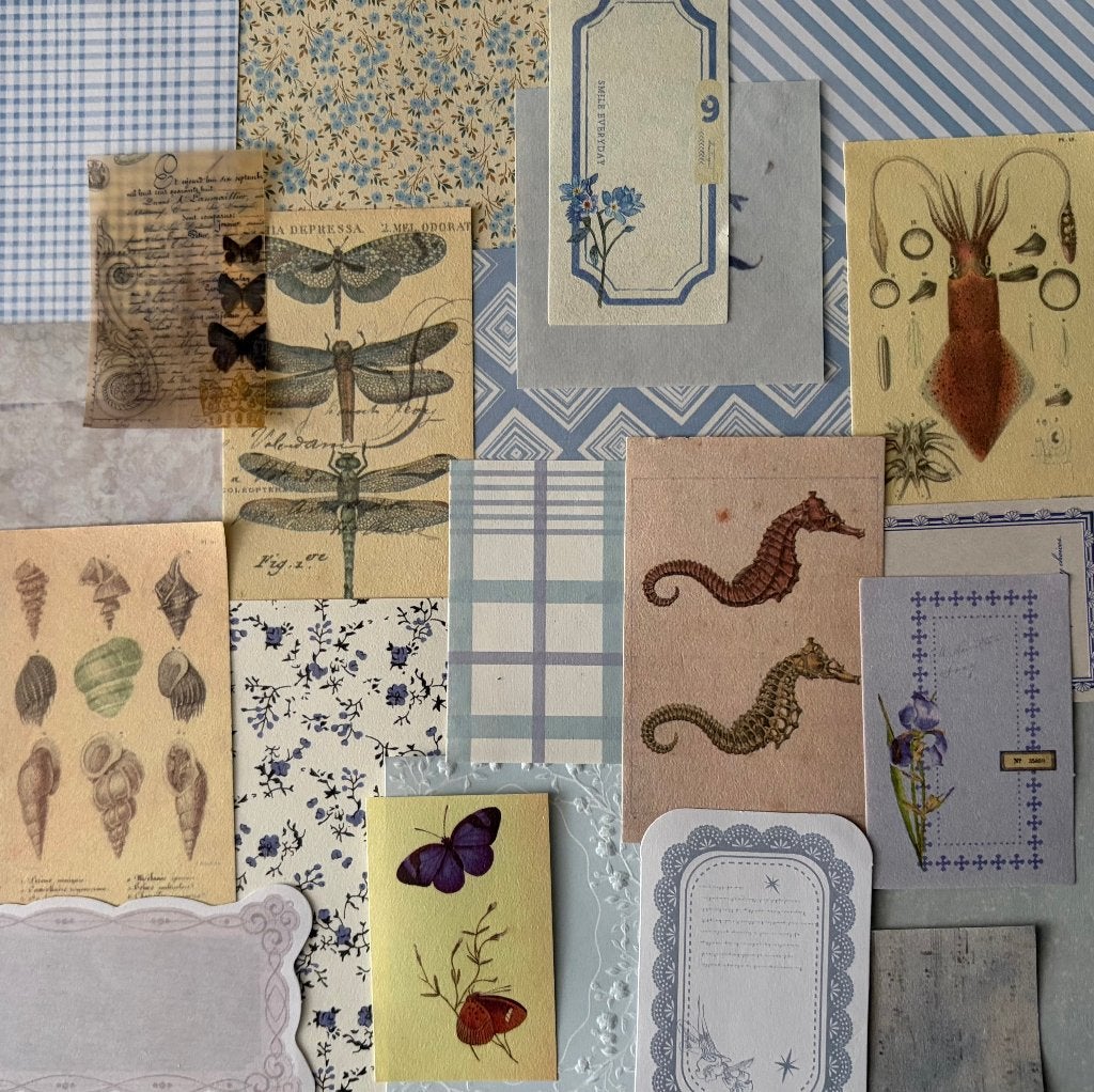 Scrapbooking zomer, strand, schelpen papier, Verzenden, Nieuw, Papier of Karton