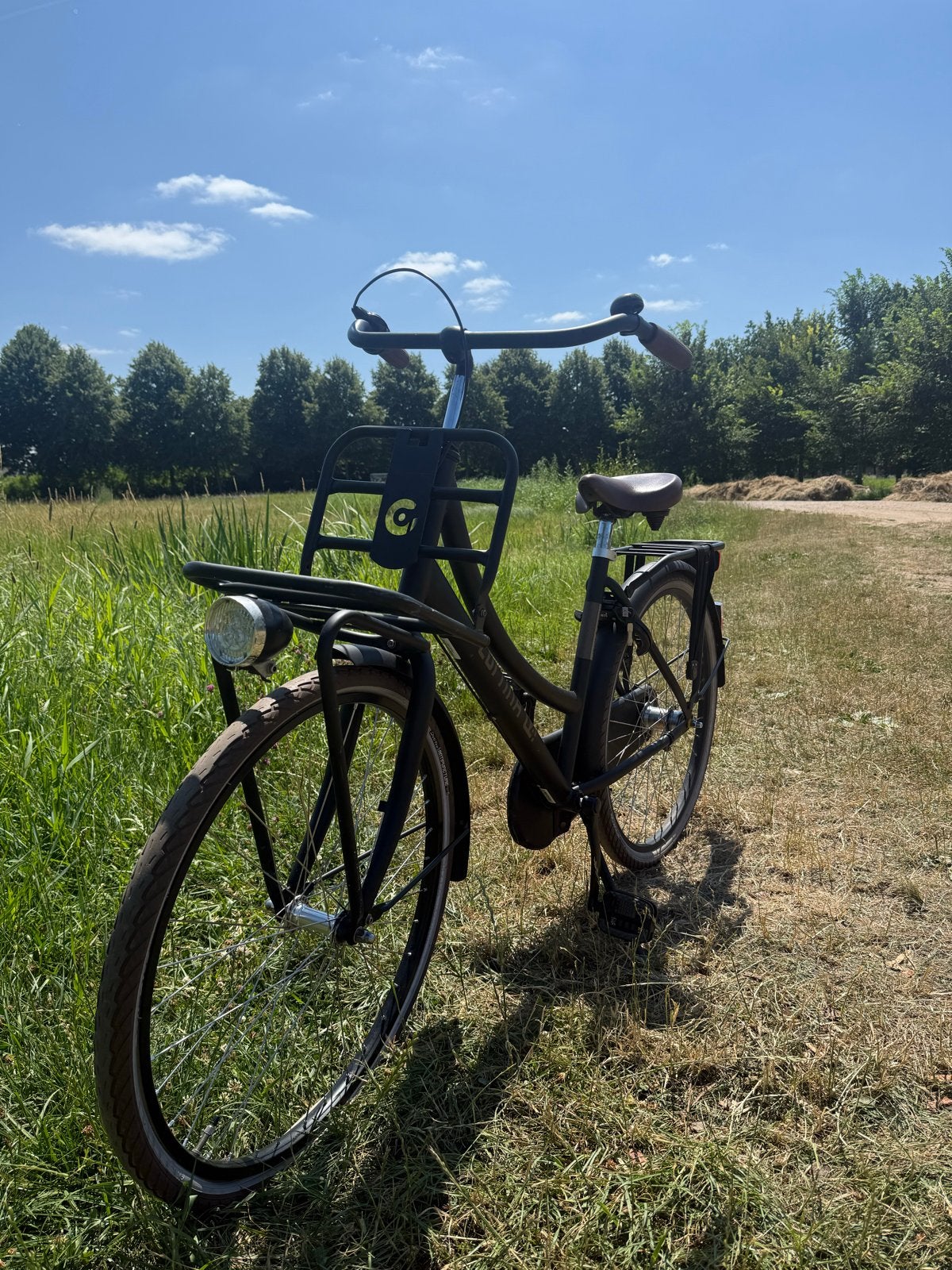 Cortina kinderfiets met voordrager en terugtraprem, Ophalen, Gebruikt, Terugtraprem, 20 inch of meer