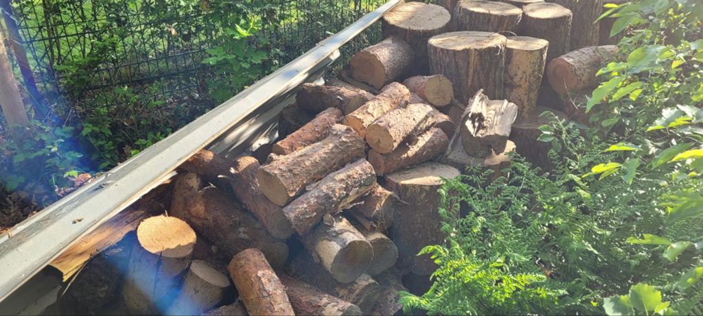 Naaldhout te koop, zoals het er nu ligt iets meer dan 1 kuub, Tuin en Terras, Haardhout, Minder dan 3 m³, Ophalen, Overige houtsoorten