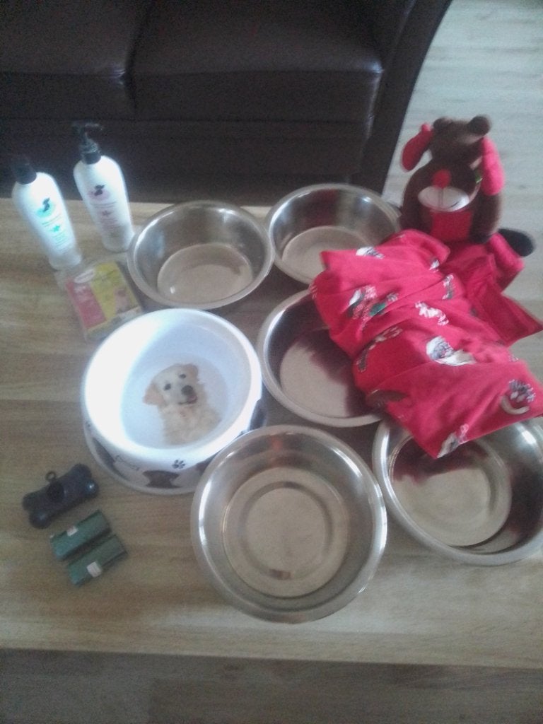 Honden artikelen, Ophalen, Gebruikt, Overige typen